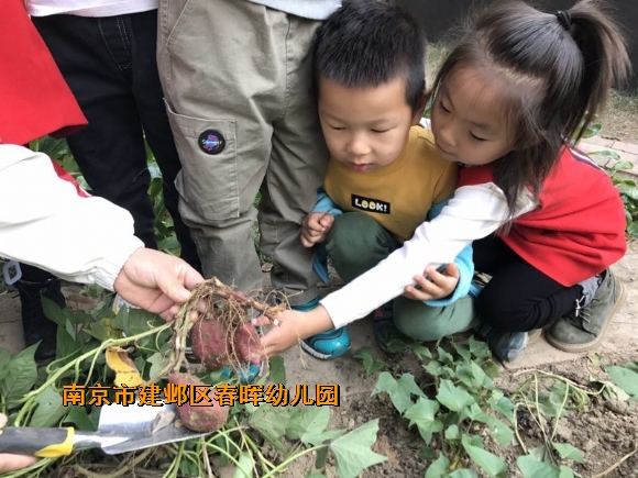 附件：conew_img_3610.jpg