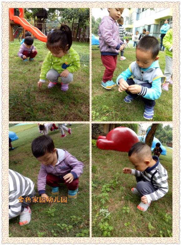 附件：2.jpg