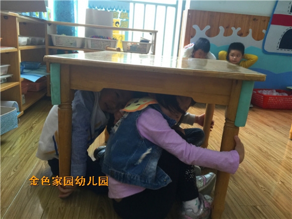 附件：IMG_2253.jpg