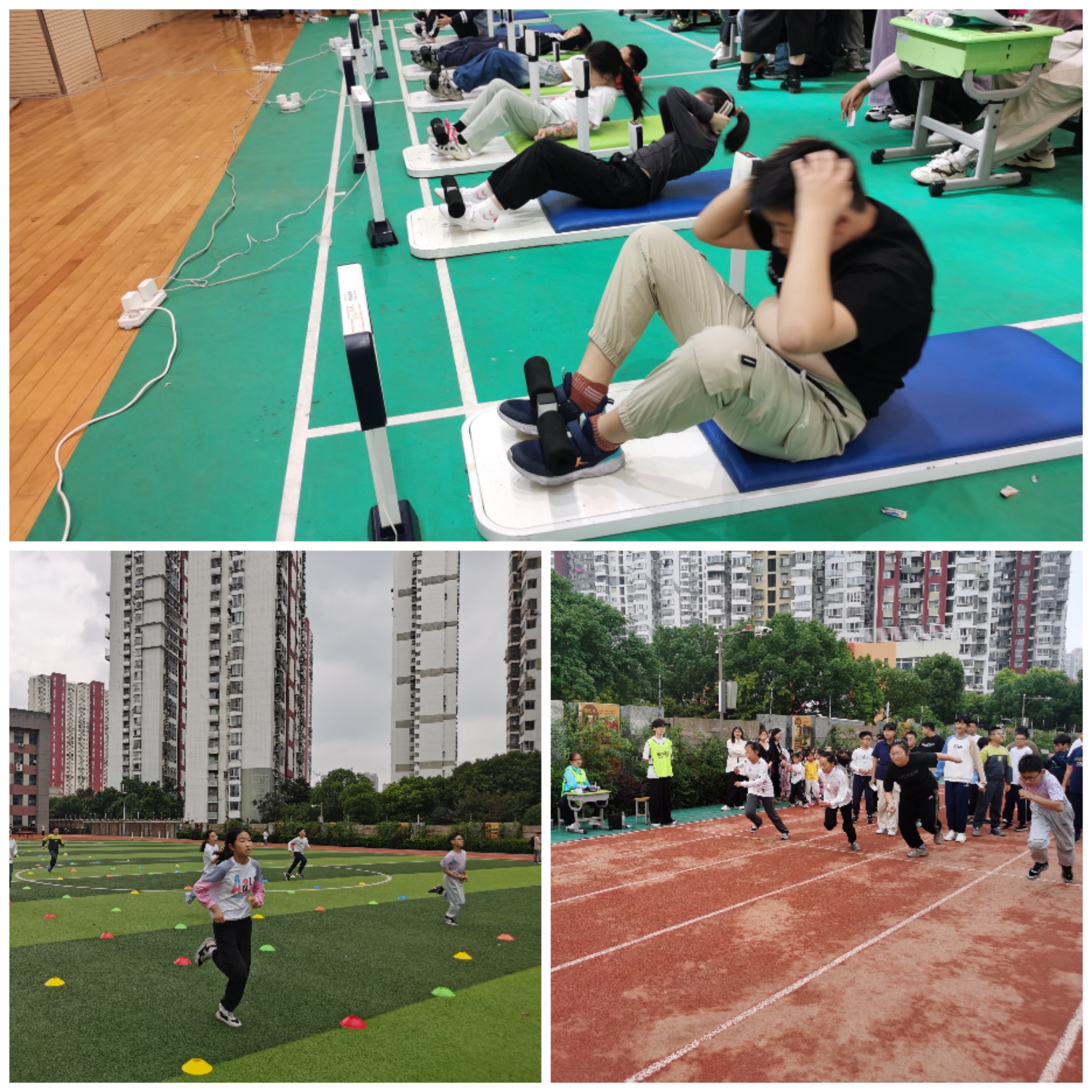 Collage_20241203_155318.jpg