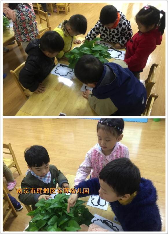 附件：IMG_5055.JPG