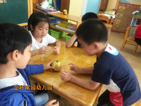 附件：IMG_3990.jpg