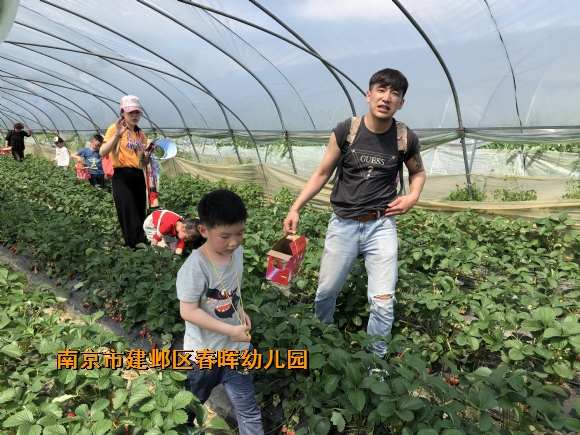 附件：IMG_6990.JPG