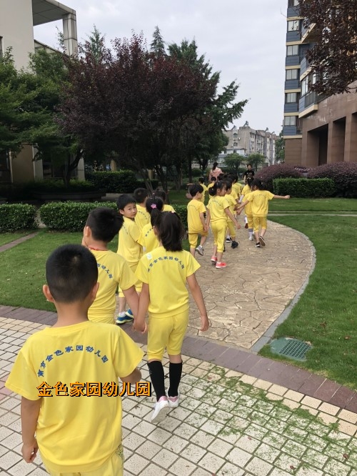 附件：IMG_3397.JPG