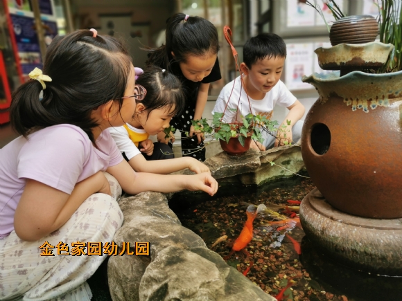 附件:IMG_20220525_104934.jpg 附件:IMG_20220525_104934.jpg