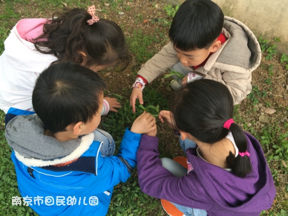附件：IMG_0128.JPG