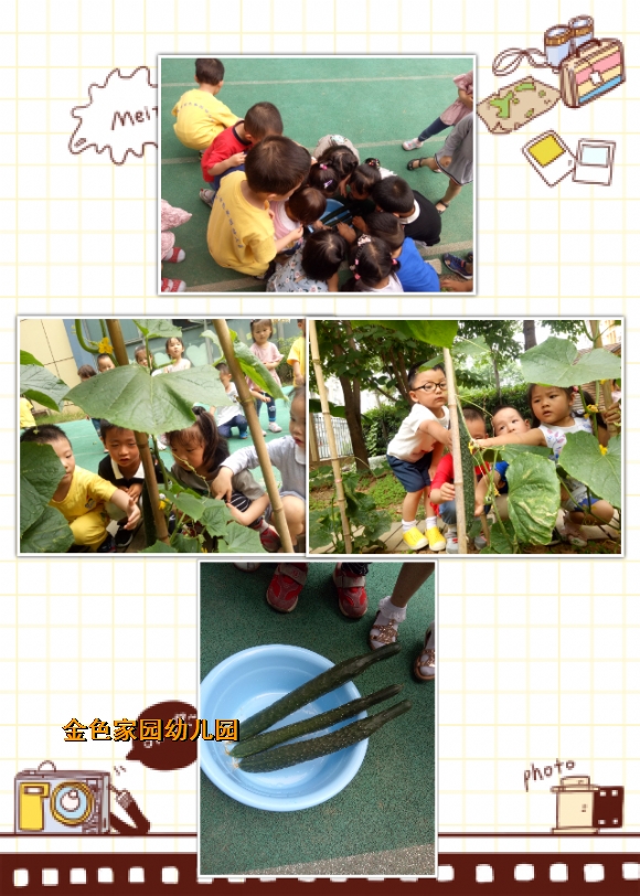 附件：pt2017_05_31_10_46_44.jpg