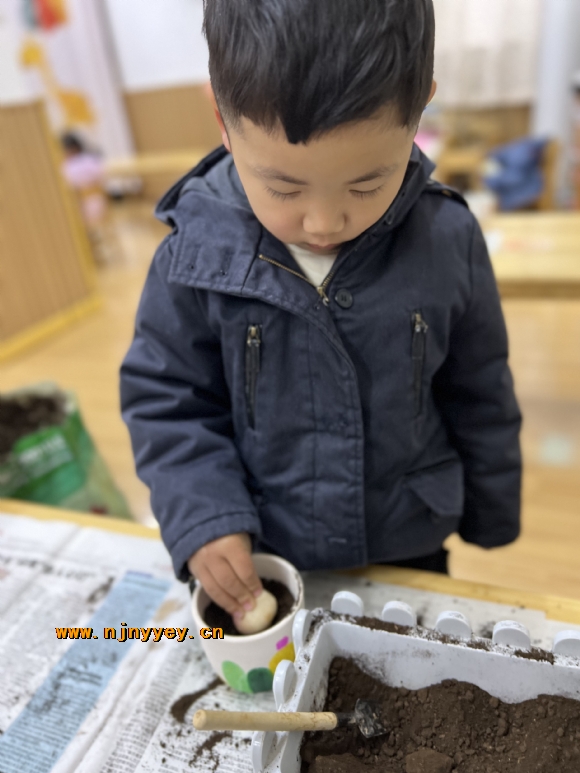 附件：IMG_4702.JPG