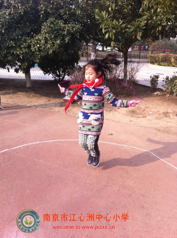 附件：IMG_4508.jpg