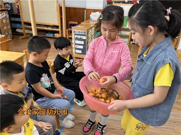 附件：mmexport1653622394936.jpg