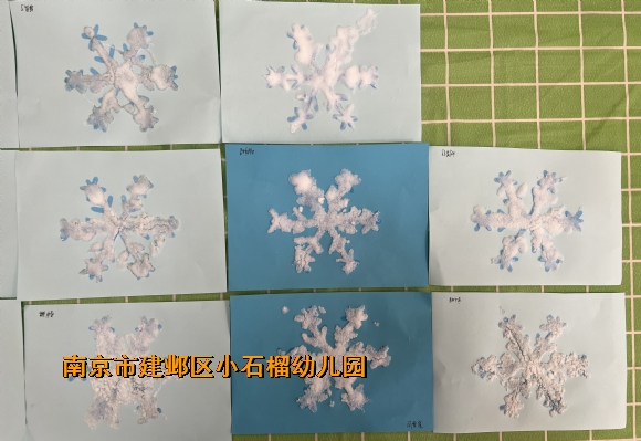 附件：IMG_8531(20241218-132522).JPG