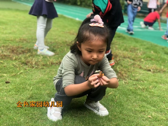附件：IMG_1910(20211014-104404).JPG