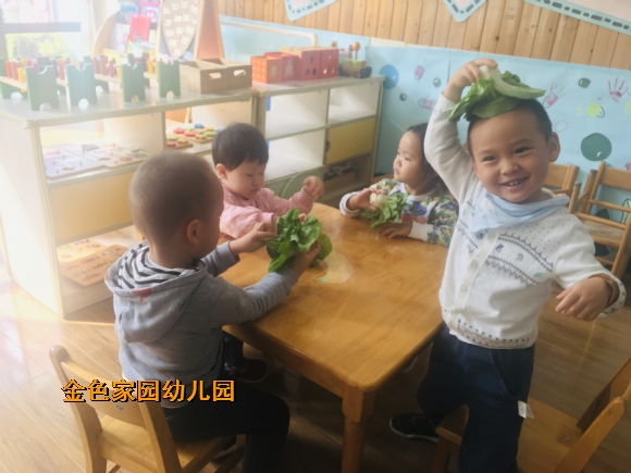附件：IMG_E9519.JPG