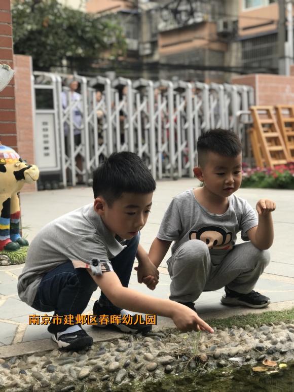 附件：FullSizeRender(49).jpg