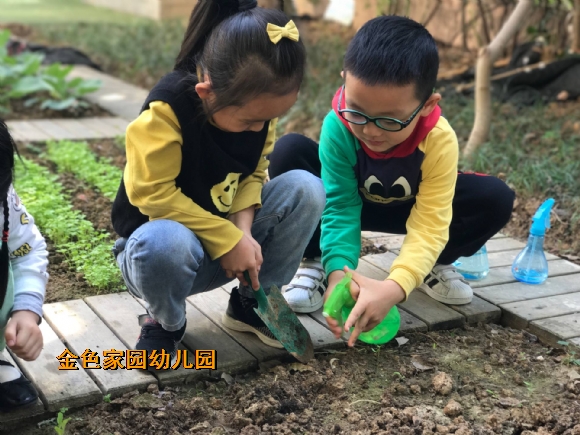 附件：1FBBDA1BB270C076D6B170BC605D7C3B.png