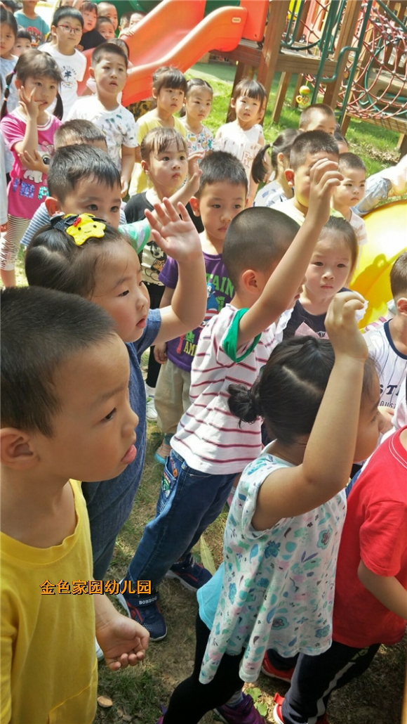 附件：26F64F5B741E7A72BD80CF19C6B54DCB.jpg
