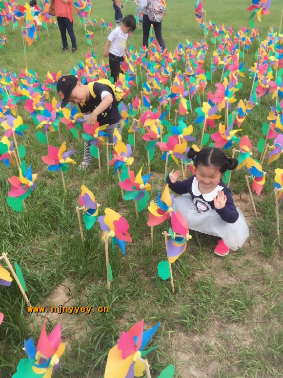 附件：IMG_4313.JPG