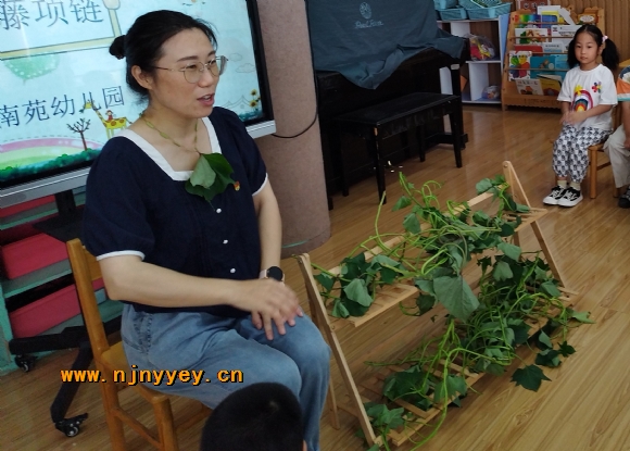 附件：5.jpg