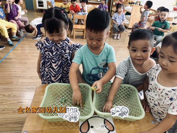 附件：IMG_3758(20190920-011354).jpg