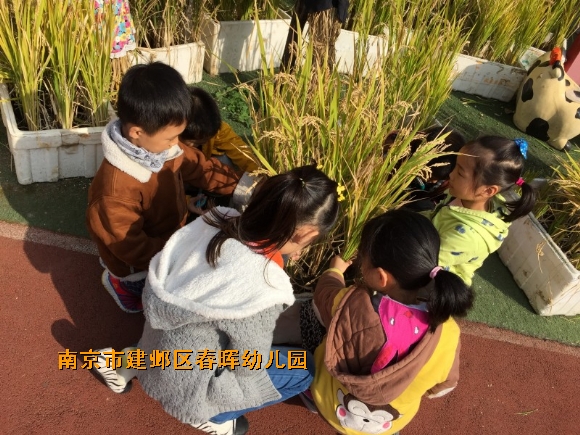 附件：conew_img_6175.jpg
