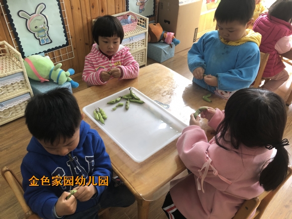 附件：IMG_9433.JPG