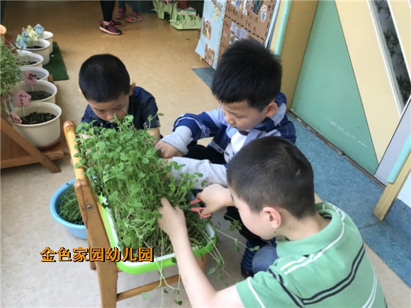 附件：IMG_1728.JPG