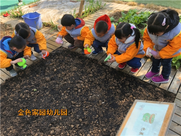 附件：1.JPG