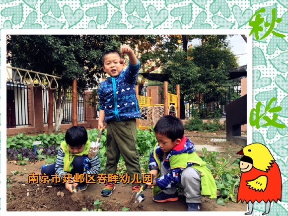 附件：IMG_8074.JPG