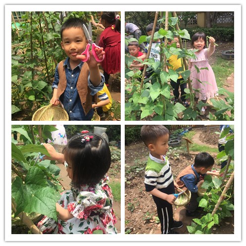 20190602195139034.jpg IMG_20190531_0925_副本.jpg
