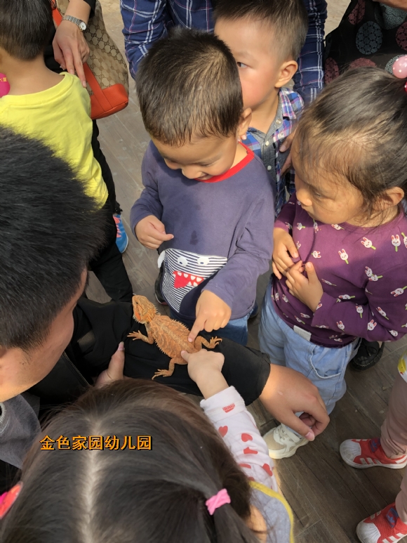 附件：IMG_3482.JPG