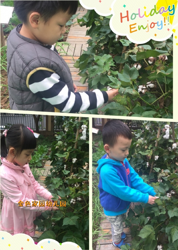 附件：5.jpg
