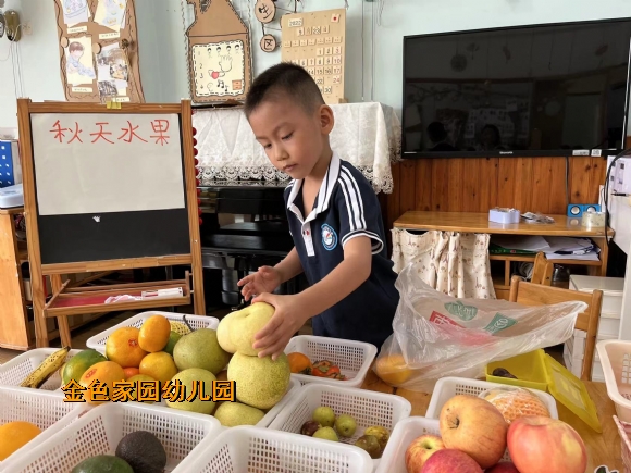 附件：微信图片_20221021104721.jpg