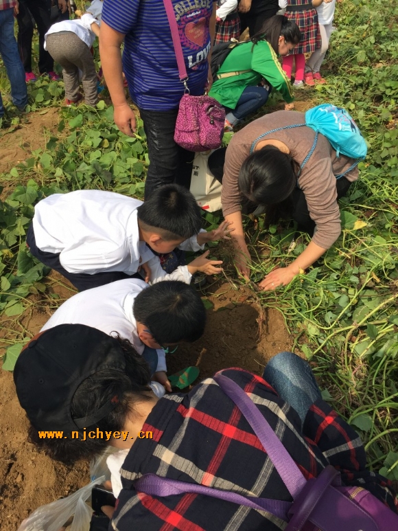 附件：conew_e0dd16da-354e-42ad-8933-1de5756ae14d.jpg