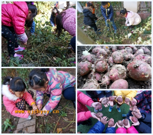 附件：DSC00410_conew2.jpg