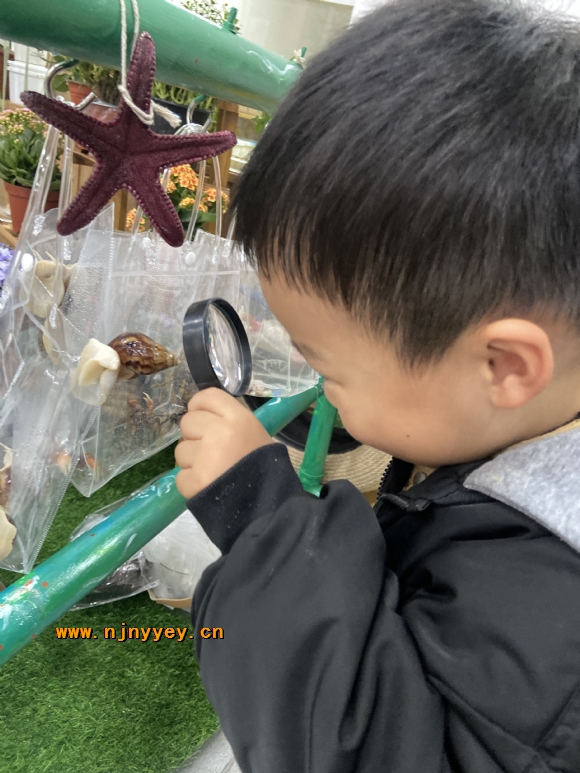 附件：IMG_3860(1).JPG