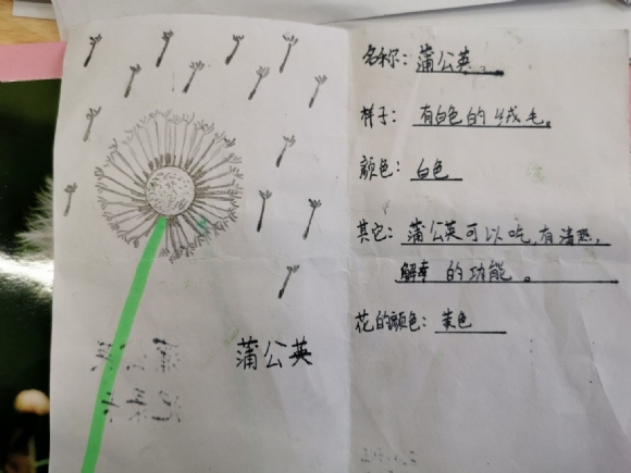 附件：QQ图片20210620072419.jpg