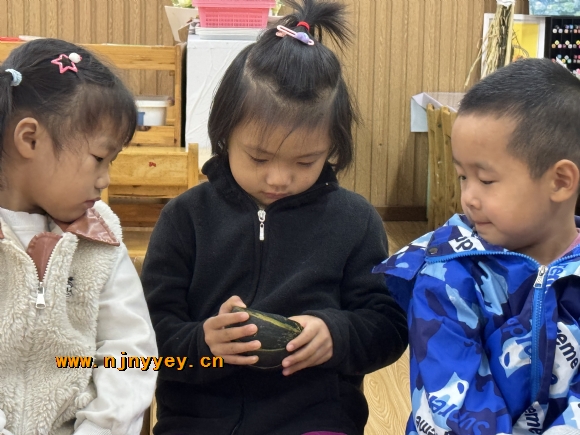 附件：IMG_1123.JPG