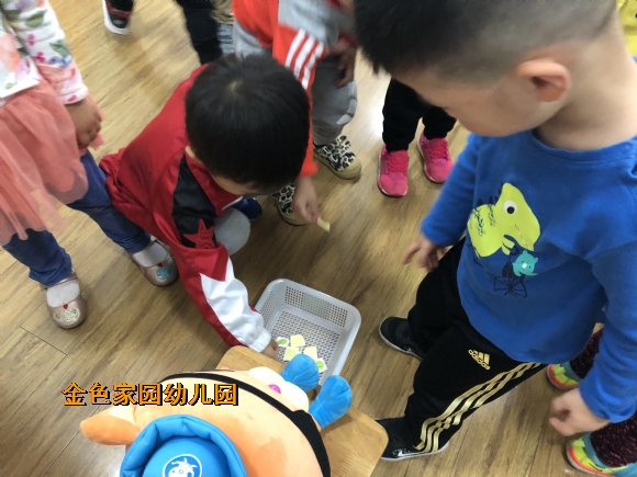 附件：分类IMG_0373.JPG
