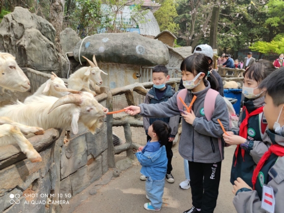 附件：QQ图片20210620213713.jpg