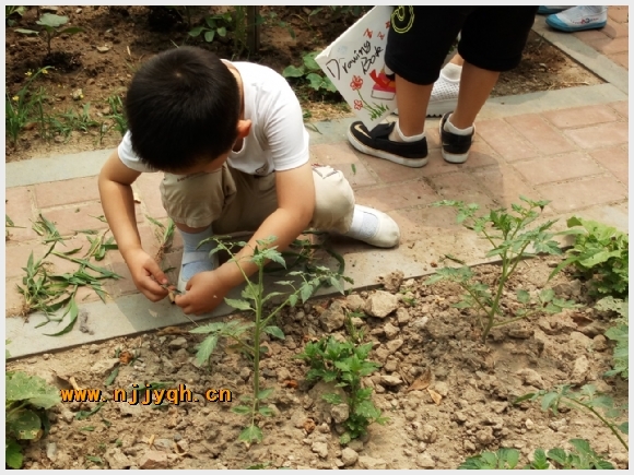建邺教育信息网