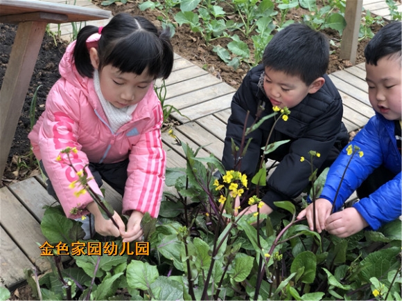 附件：IMG_1387_鍓湰.jpg