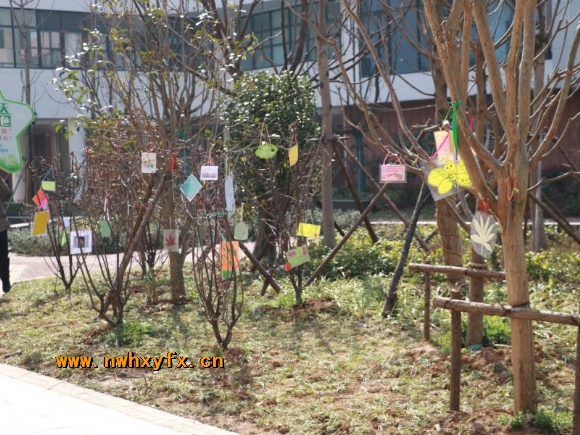 附件：mmexport1520997482726.jpg