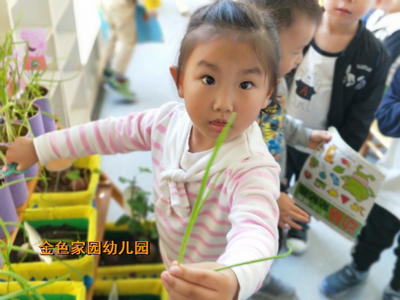 附件：6.jpg