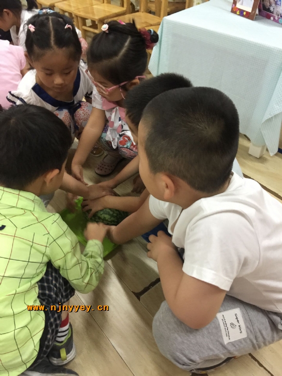 附件：IMG_2557.JPG
