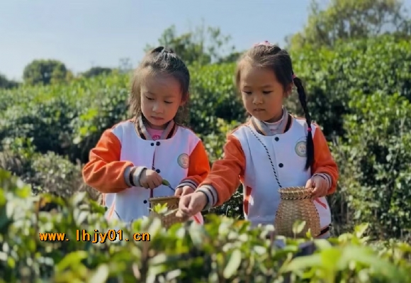 附件：24c13a0af69a6daa5d2f5b32e726466.jpg