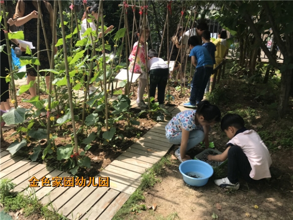 附件：IMG_1918.JPG