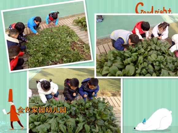 附件：initpintu_鍓湰.jpg
