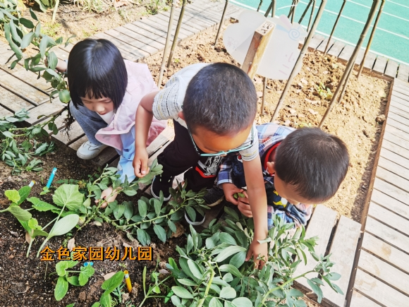 附件：IMG_20220507_100005.jpg