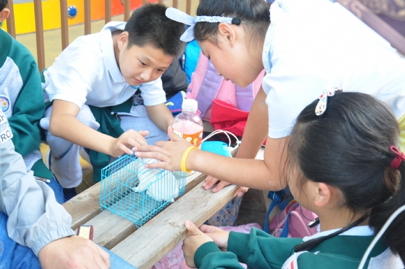 附件：DSC_2805.JPG
