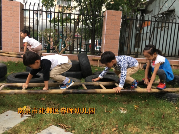 附件：IMG_9369.JPG